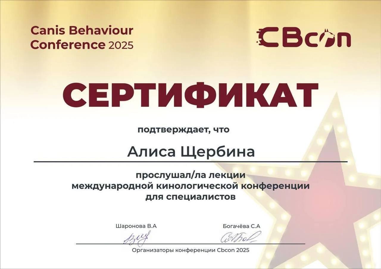 Сертификат Алисы Щербиной 2