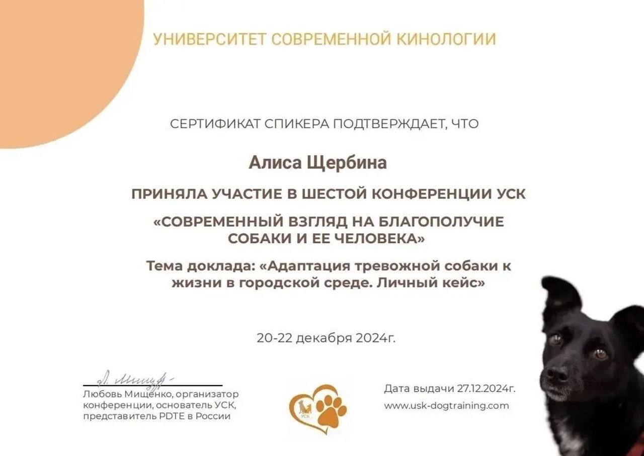 Сертификат Алисы Щербиной 3