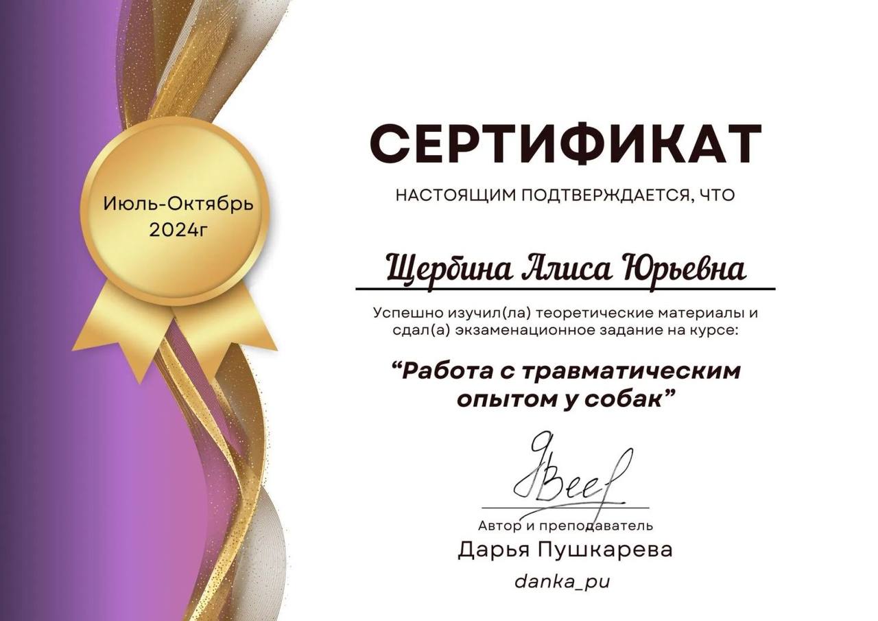 Сертификат Алисы Щербиной 4
