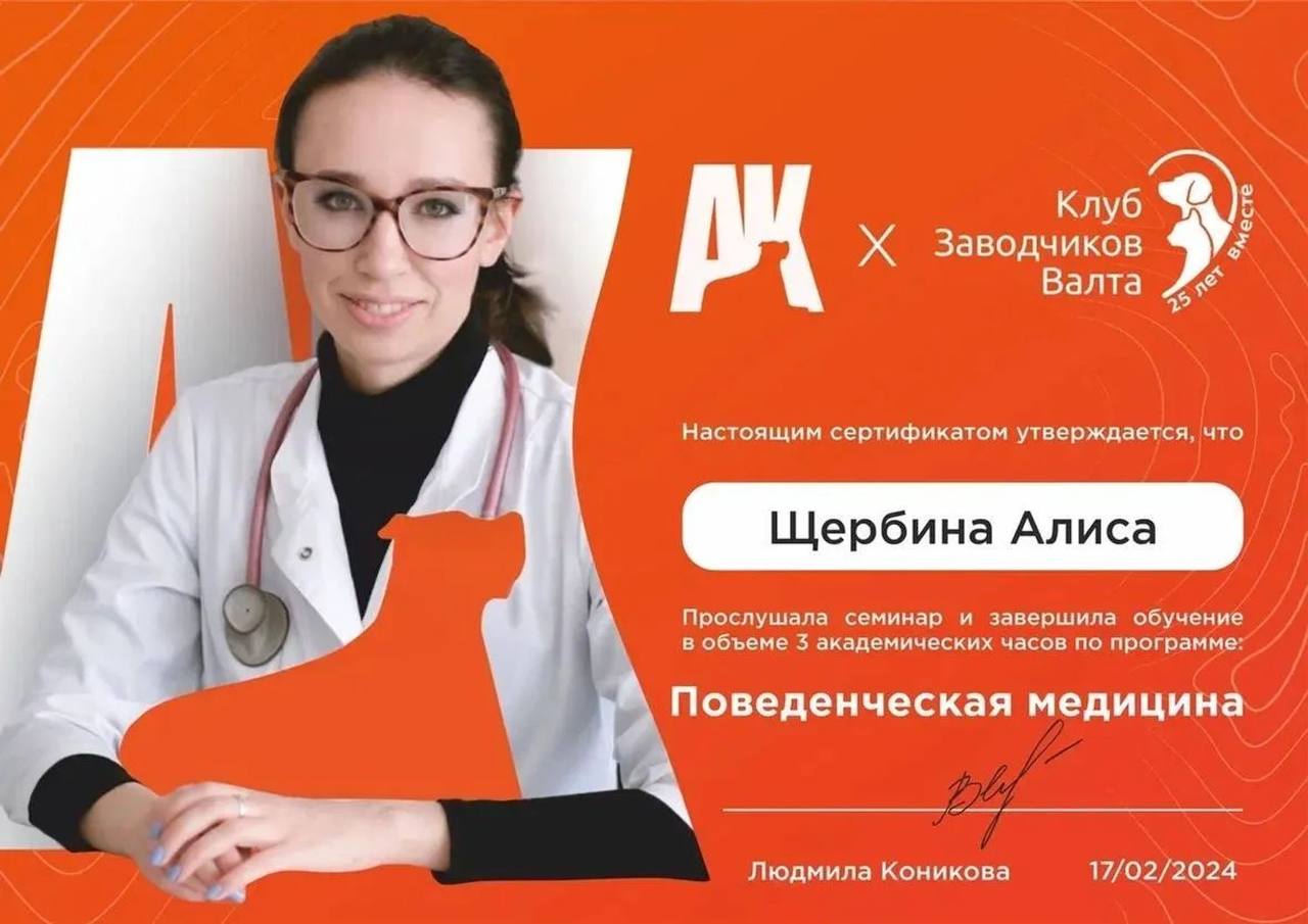 Сертификат Алисы Щербиной 10